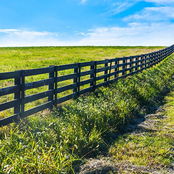 Rural Fences in Bowral Osborne Fencing