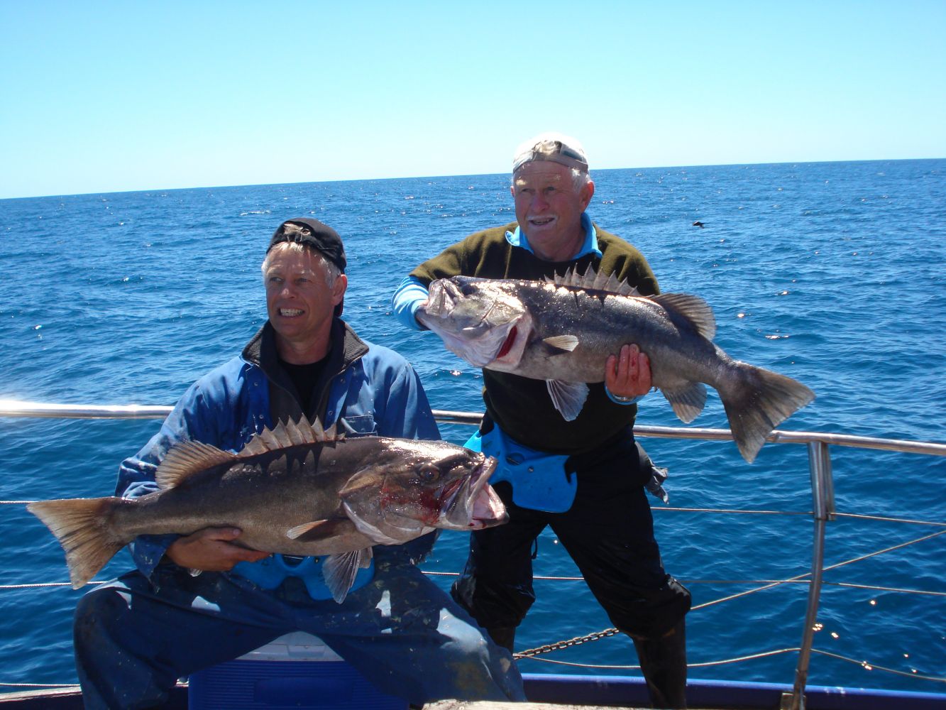 Fishing Charters Tauranga Deep Star Fishing Charters
