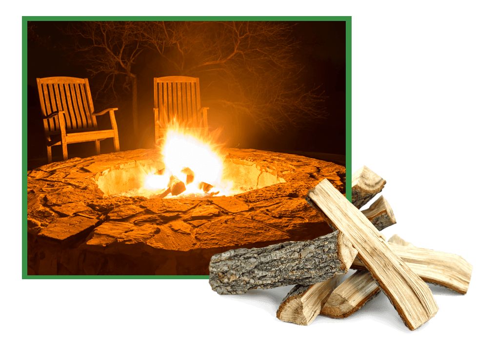 Alliance Tree Service Tree Removal Tree Trimming Ornamental