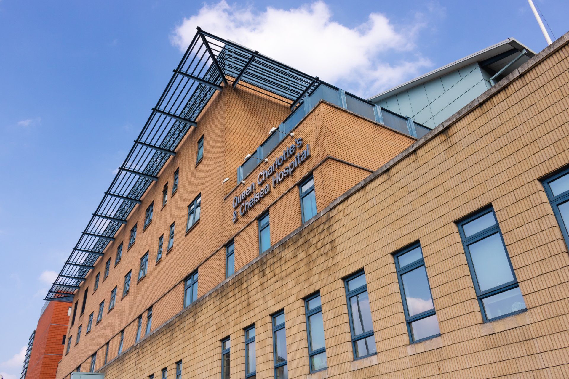 The Hammersmith Hospital