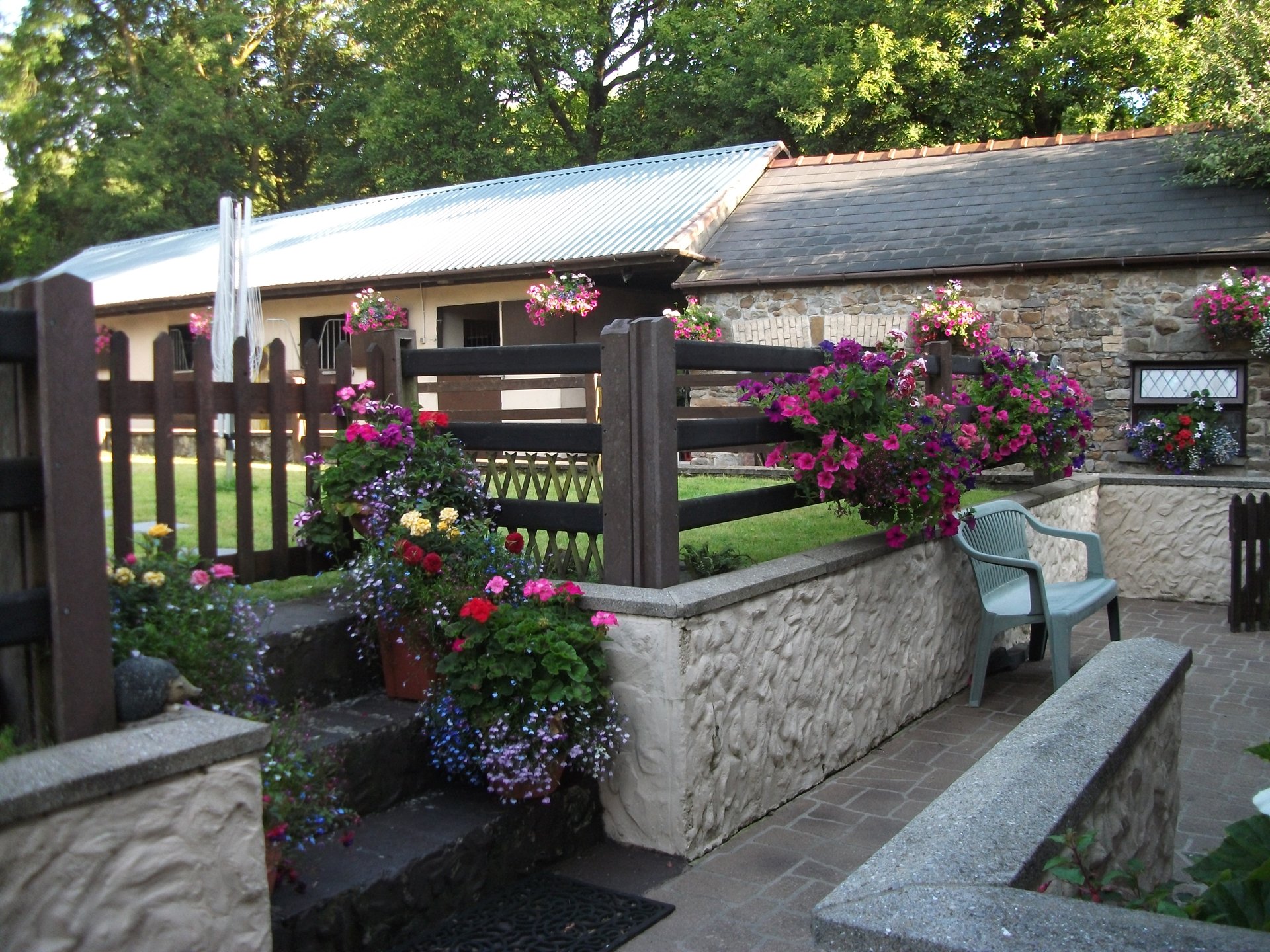 Individual pet cremation Sleepy Hollow Pet Crematorium