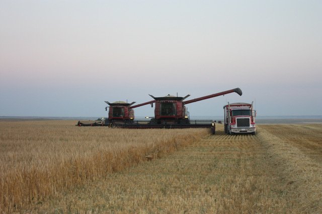 Nelson Family Ranches