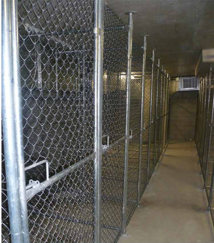 Personal Storage Cases