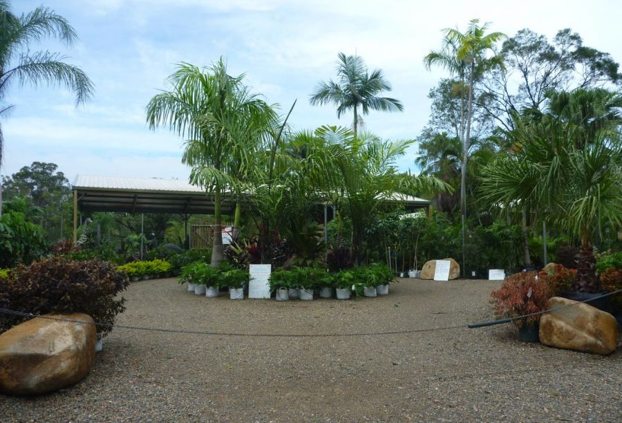 Garden centre Benaraby Benaraby Junction Nursery