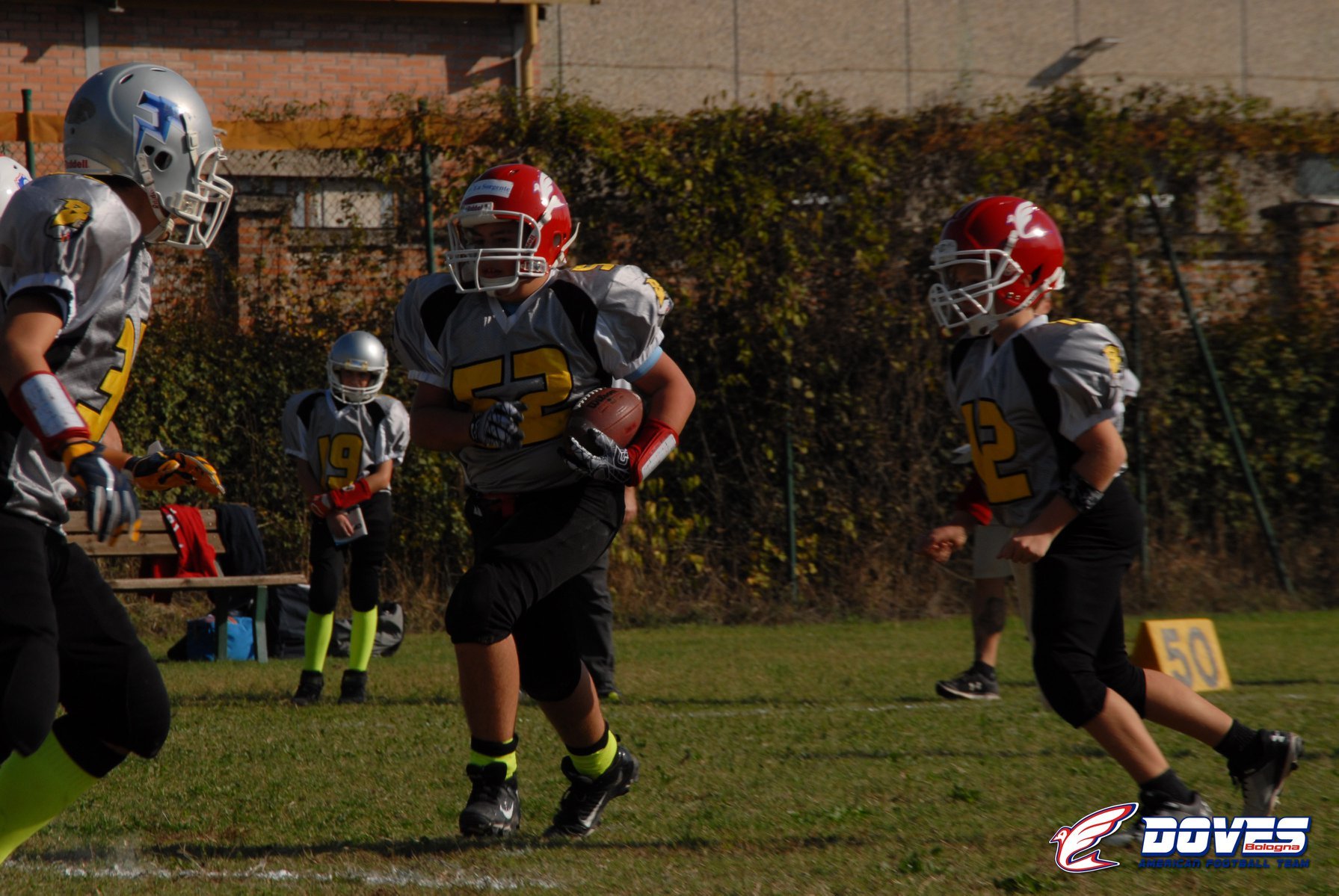 Football Americaco per i più giovani Bologna Doves Bologna American