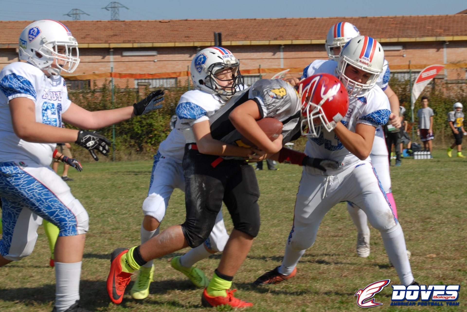 Football Americaco per i più giovani Bologna Doves Bologna American