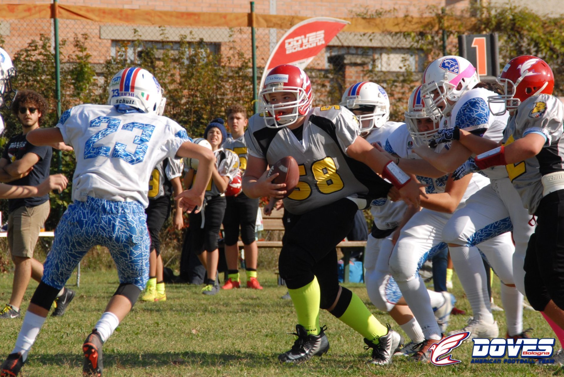 Football Americaco per i più giovani Bologna Doves Bologna American
