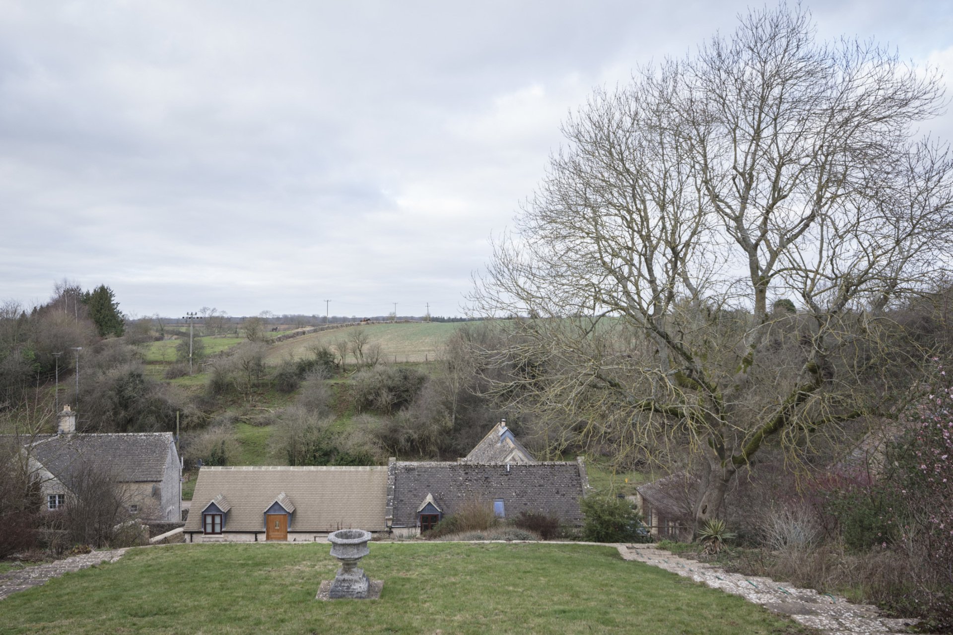 How was dylan groves found picture