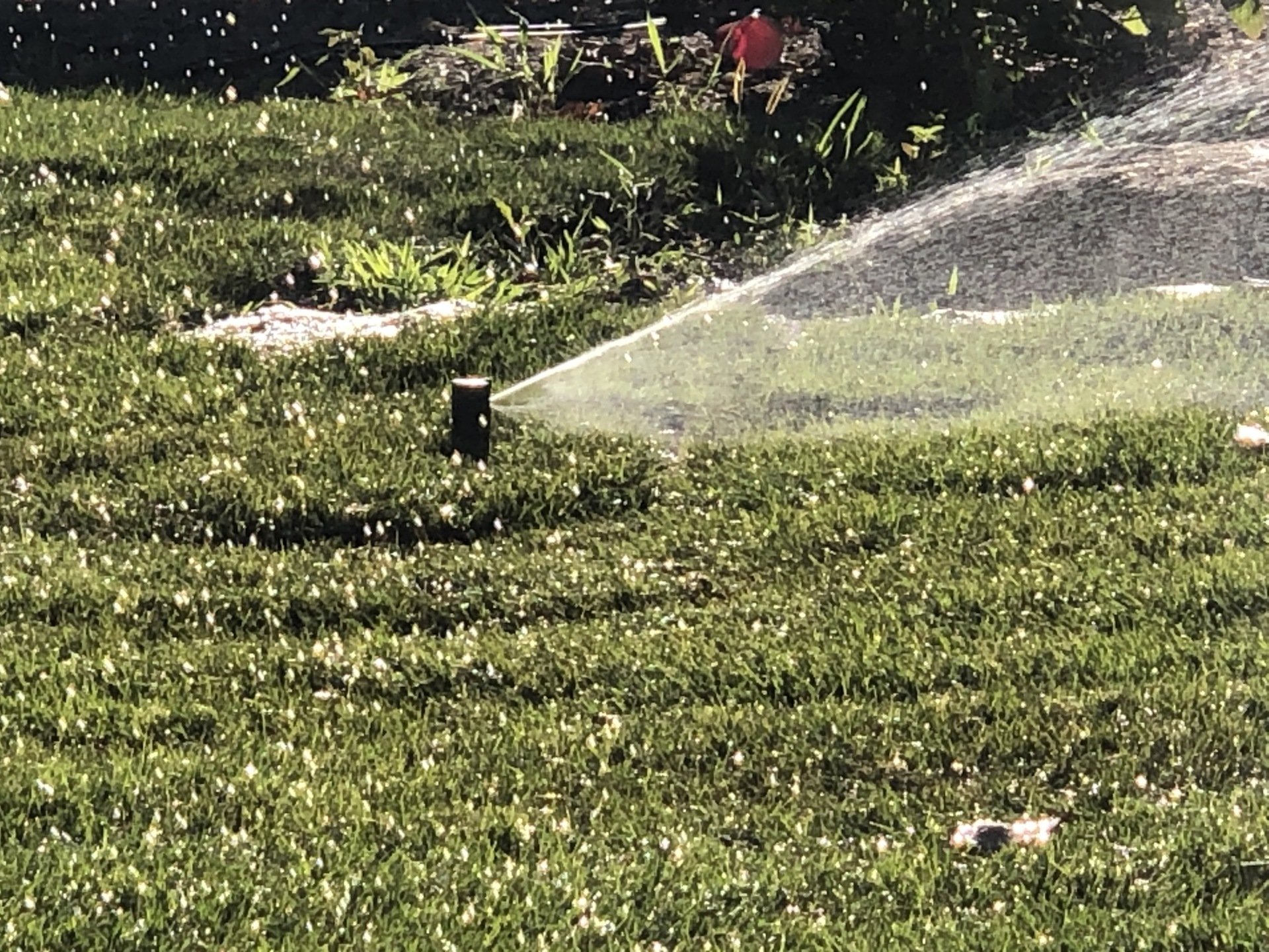 Irrigation System Design and Installation Connecticut Clean Cut