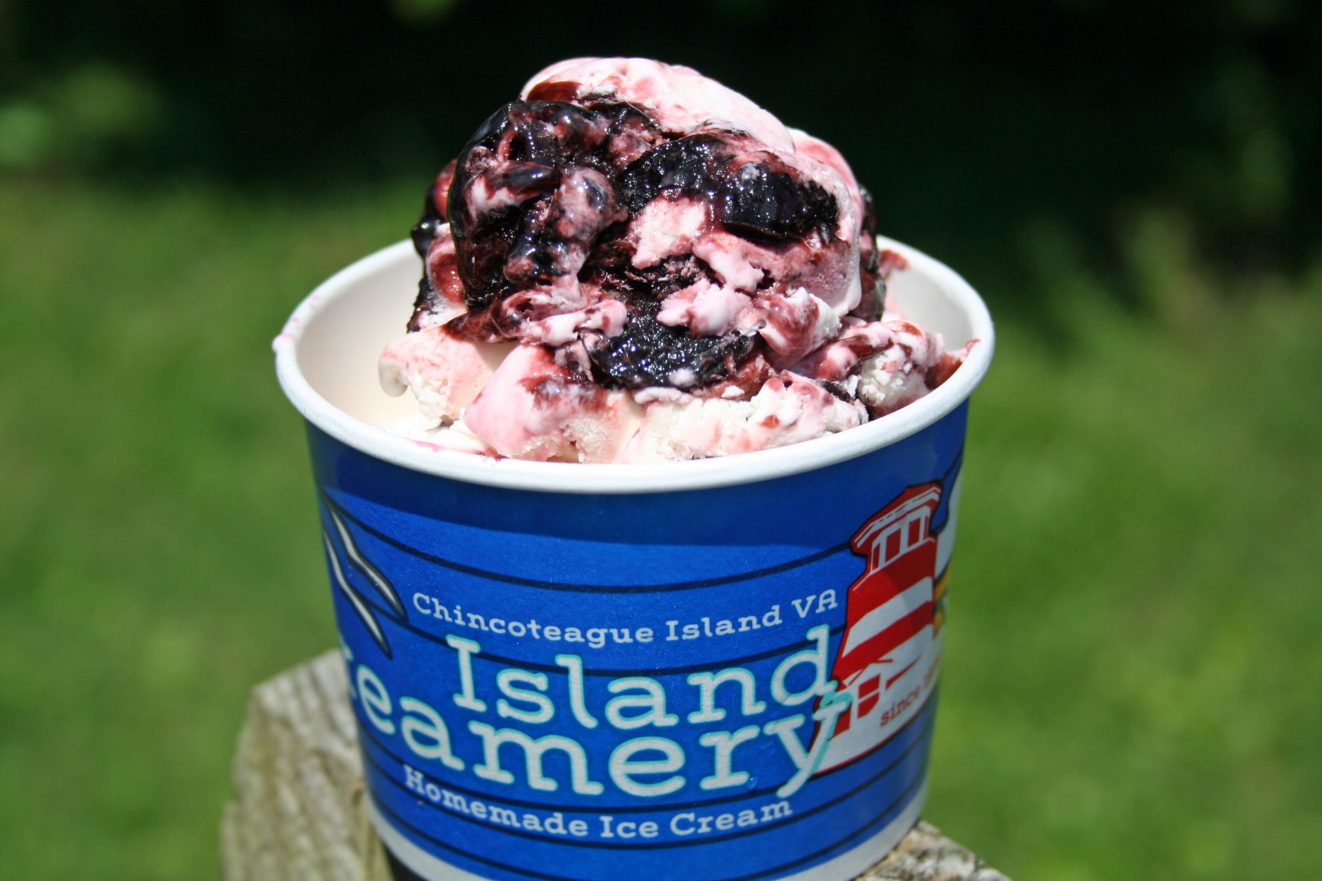 About Us / Island Creamery