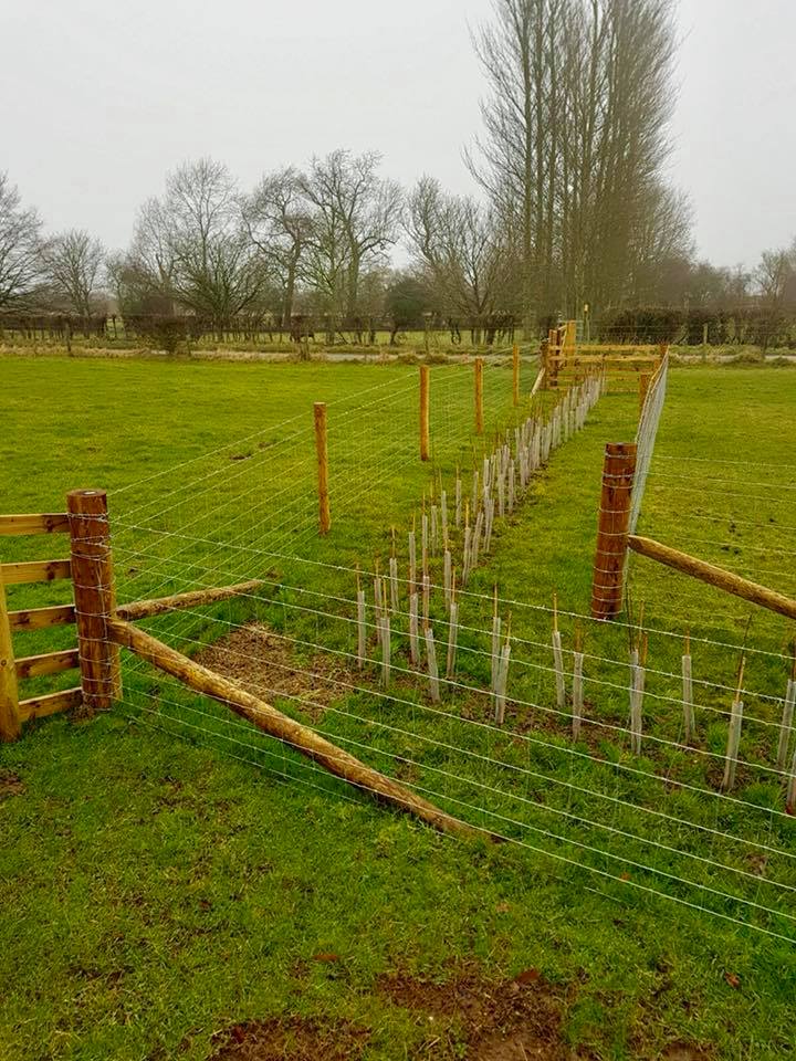 Fencing Contractor Oxfordshire JC Countryside Services
