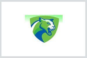 adelaide physiocare and sports acupuncture adelaide cougars netball club logo adelaide physiocare and sports acupuncture adelaide cougars netball club logo