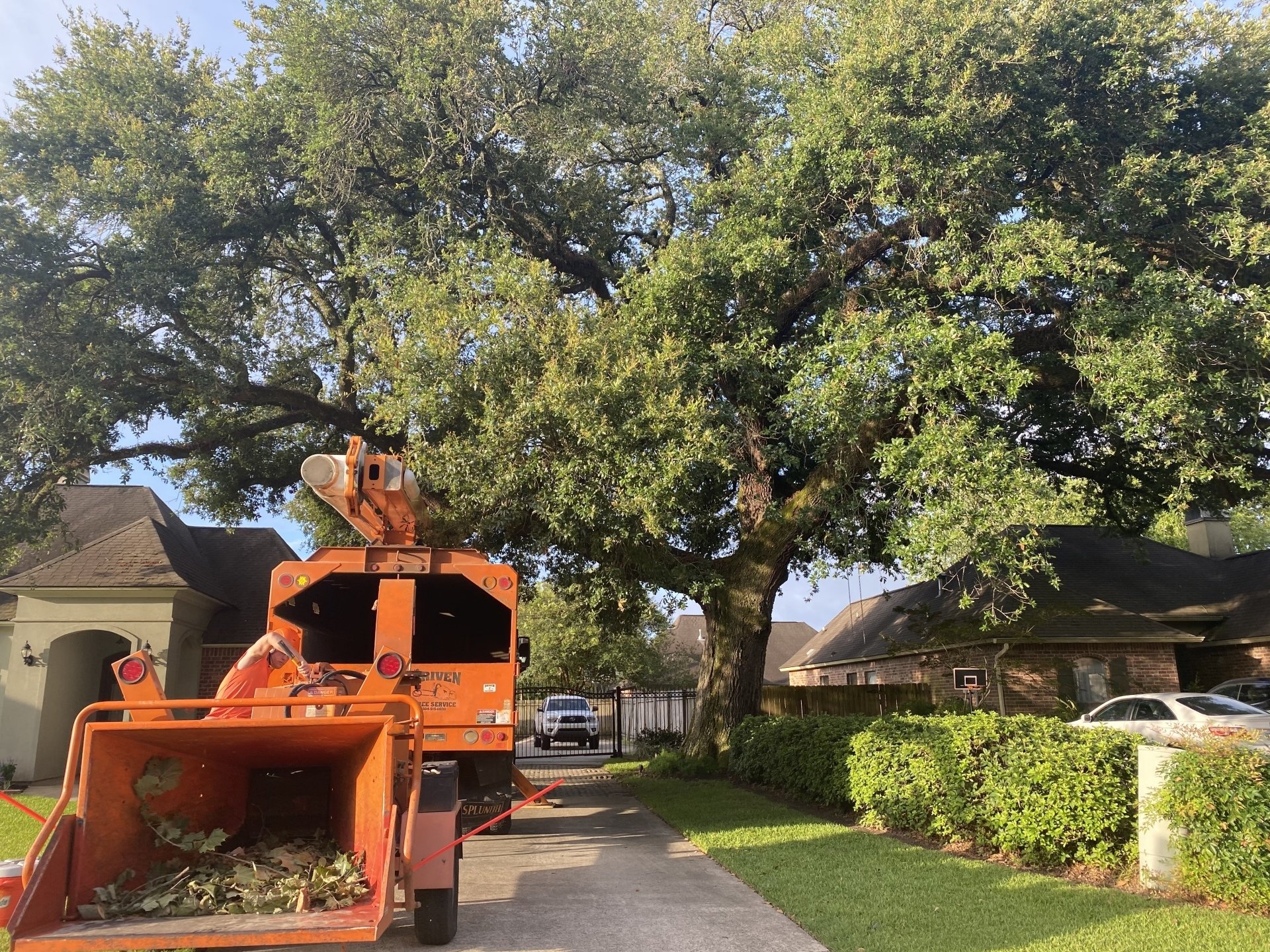 Driven Tree Services Projects Baton Rouge, Louisiana