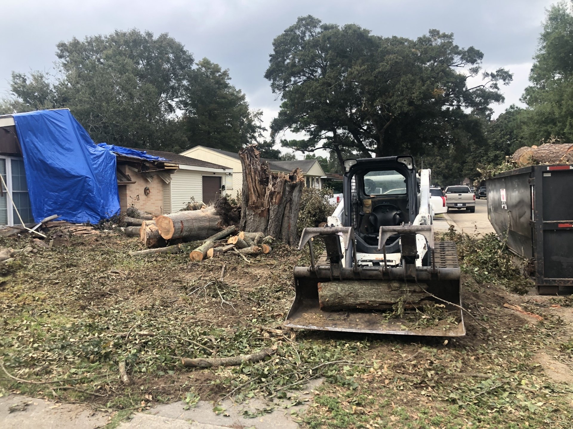 Driven Tree Services Projects Baton Rouge, Louisiana