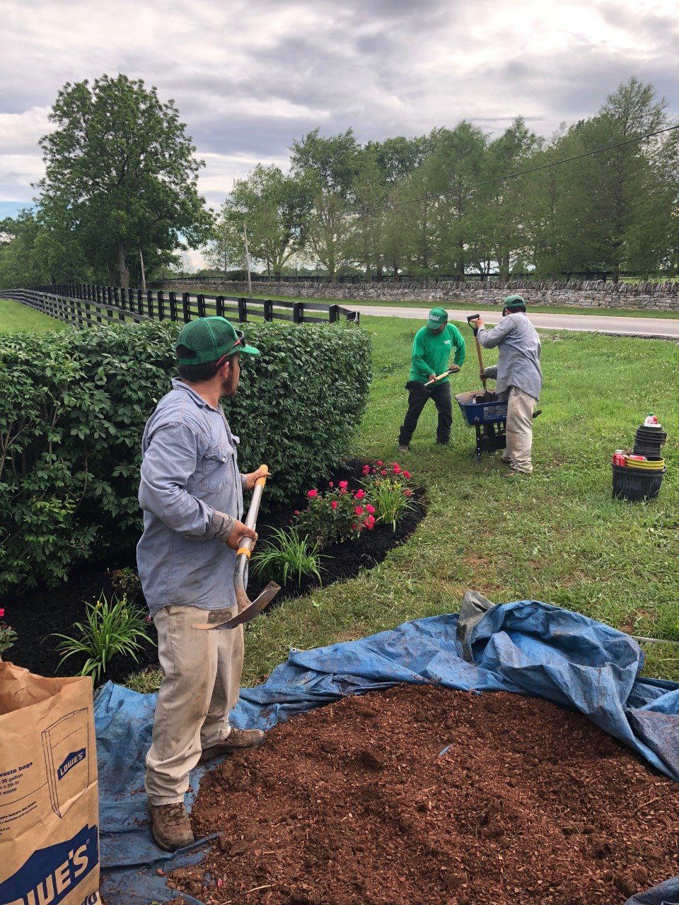 Landscaping Services Lexington, KY MowMow's Family Landscaping