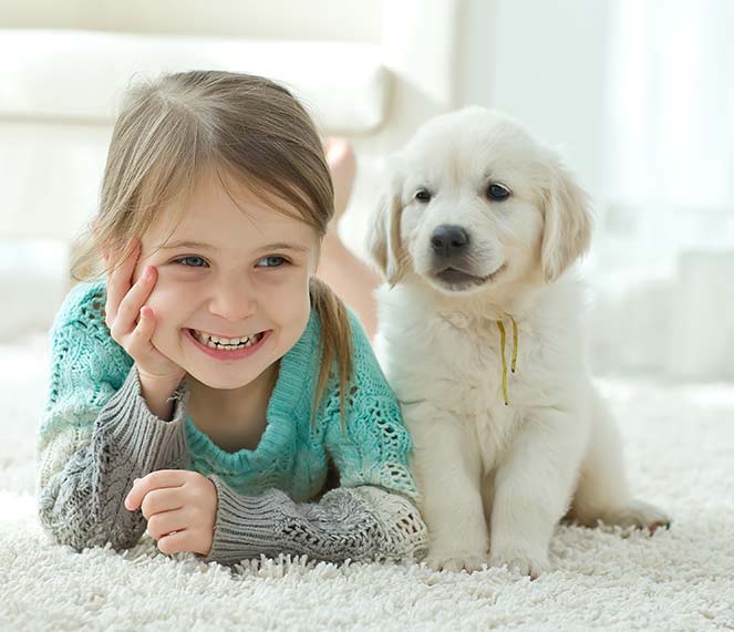 Meet the Team Masters Touch Carpet Care Fresno CA