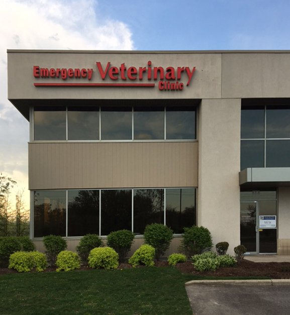 Emergency Vet Clinic of Waterloo Region
