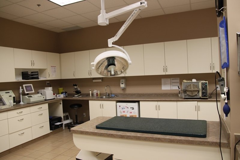 About Us Emergency Vet Clinic of Waterloo Region