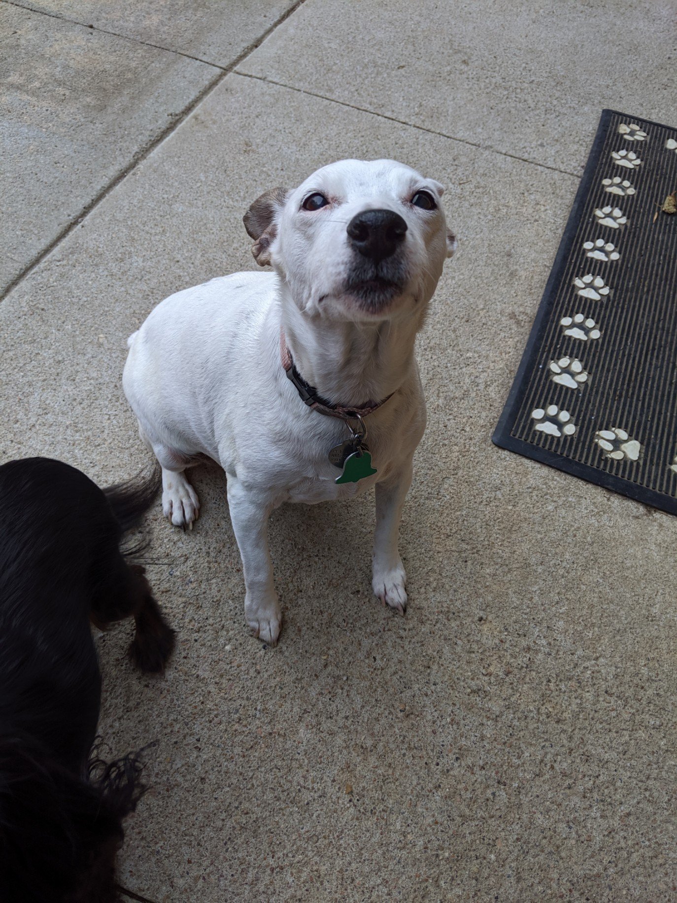 Veterinarian — Blair, Nebraska — Holstein Veterinary Clinic