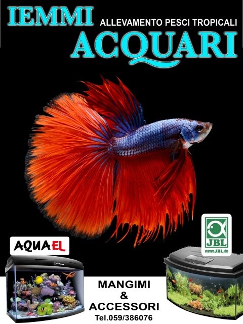 Vendita acquari e pesci tropicali modena ganaceto iemmi ... Pesci e acquario a letto
