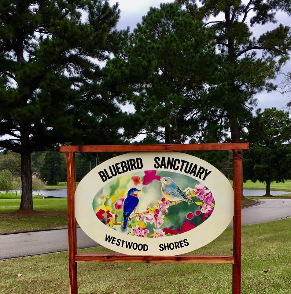 Community Events Album Westwood Shores Property Owners Association