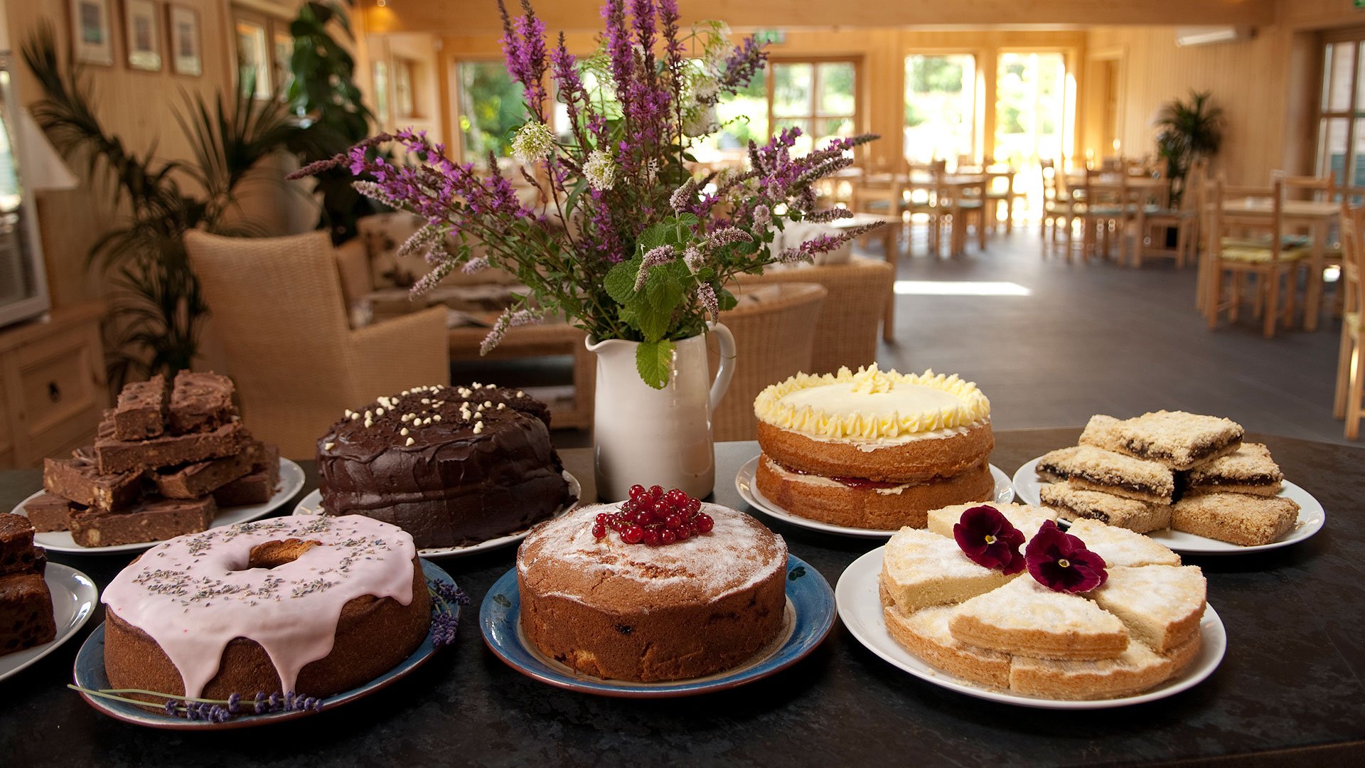 Garden Centre near Wareham, Dorset Holme for Gardens