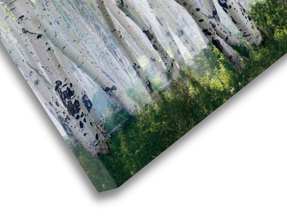 Photo Printing Vancouver QUADRO Custom Framing