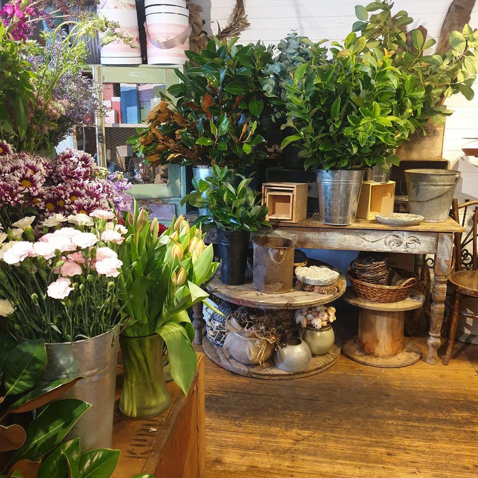 Flower & Gift Shop Photo Gallery The Petal Collective