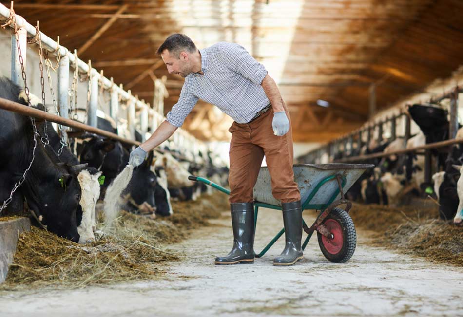 Rural Supplies Kempsey Produce & Saddlery