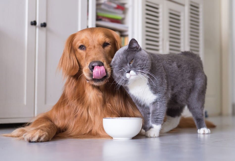 Rural Supplies Kempsey Produce & Saddlery