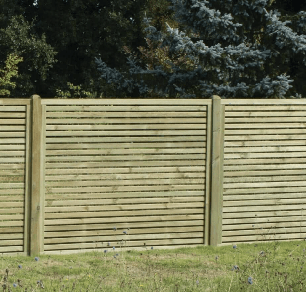 Fencing Northampton (Best 20202022) Call 01604 343299 Free Quote
