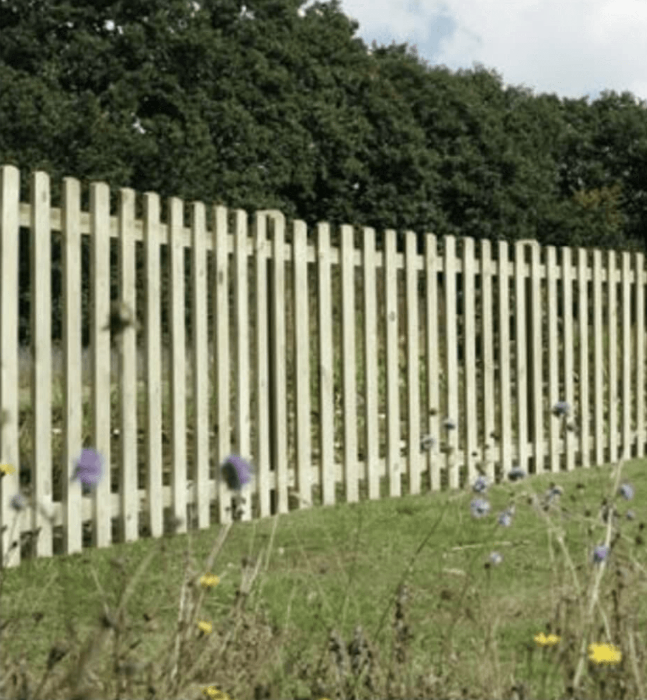Fencing Northampton (Best 20202022) Call 01604 343299 Free Quote