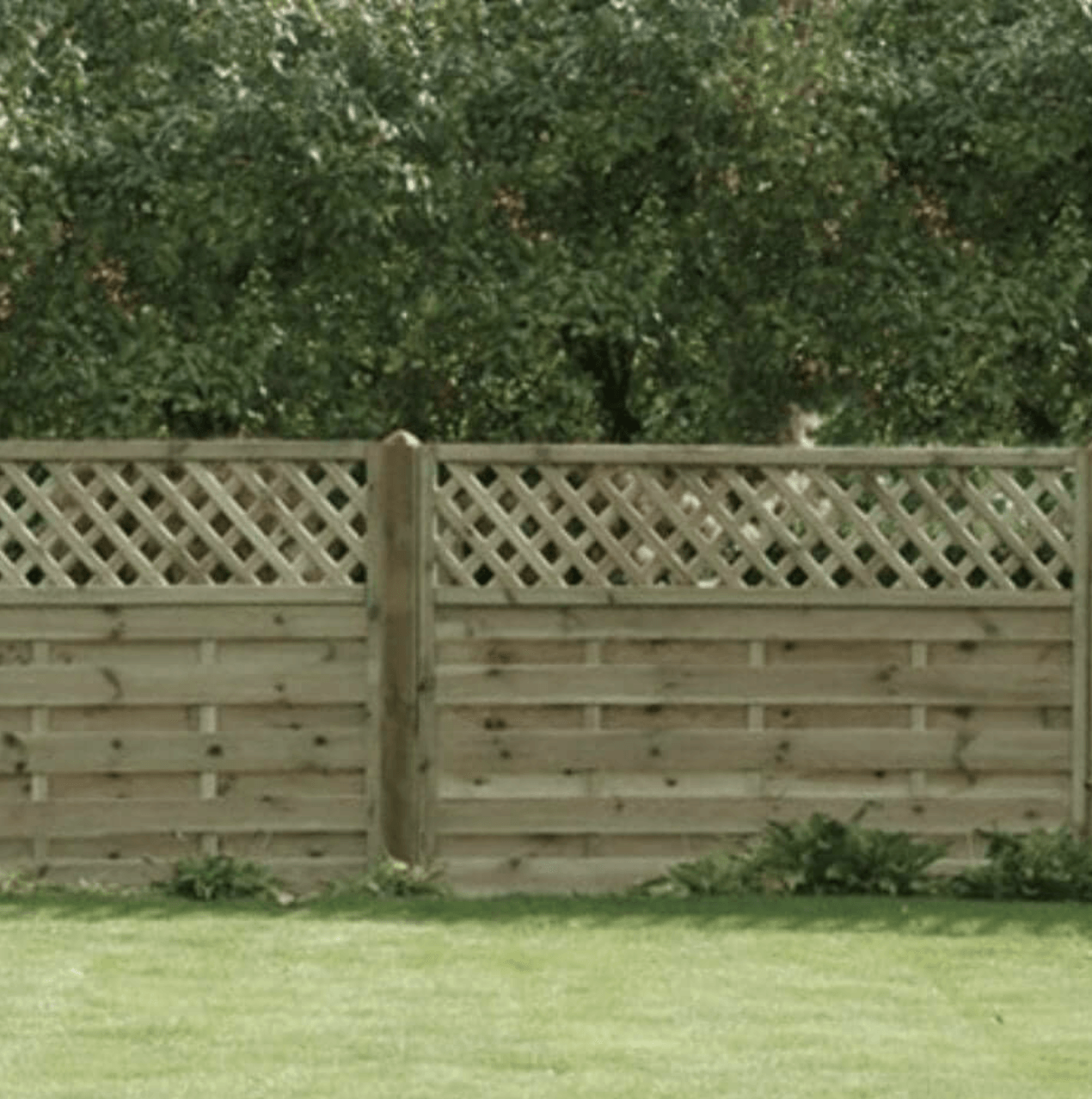 Fencing Northampton (Best 20202022) Call 01604 343299 Free Quote