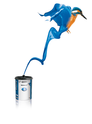 whites panel shop kingfisher