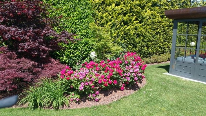 Manutenzione del verde gornate olona varese giardini le betulle Sistemazione giardini privati