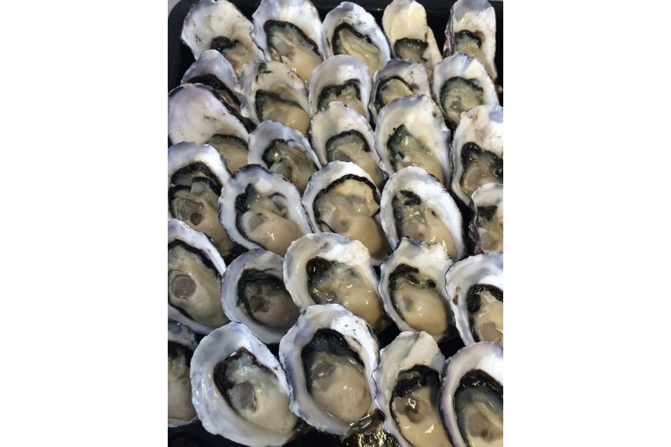 Fresh Wholesale Fish and Seafood Wendouree
