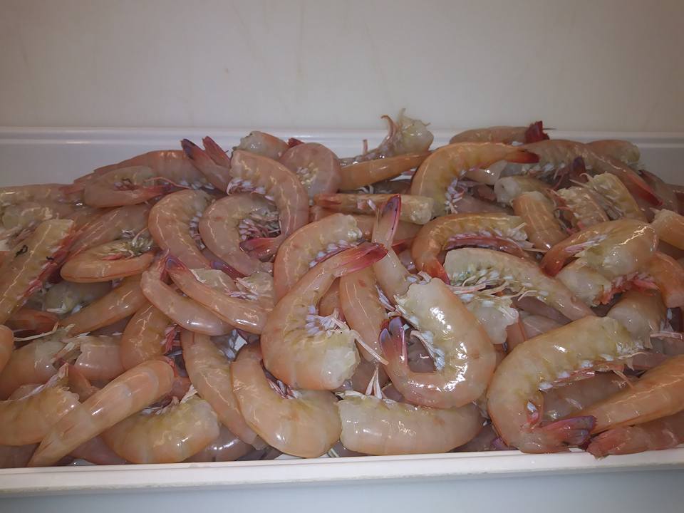 Home Page Seafood Market Fort Myers Florida