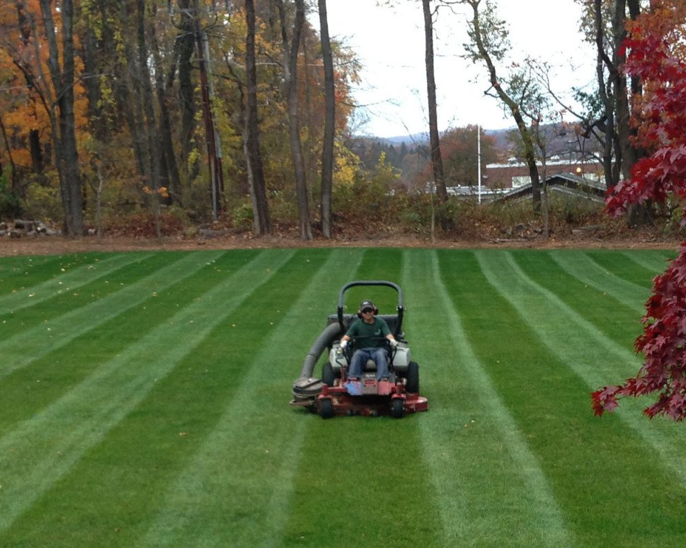 The Most Important Healthcare Tips To Keep Your Lawn Beautiful The Most Important Healthcare Tips To Keep Your Lawn Beautiful