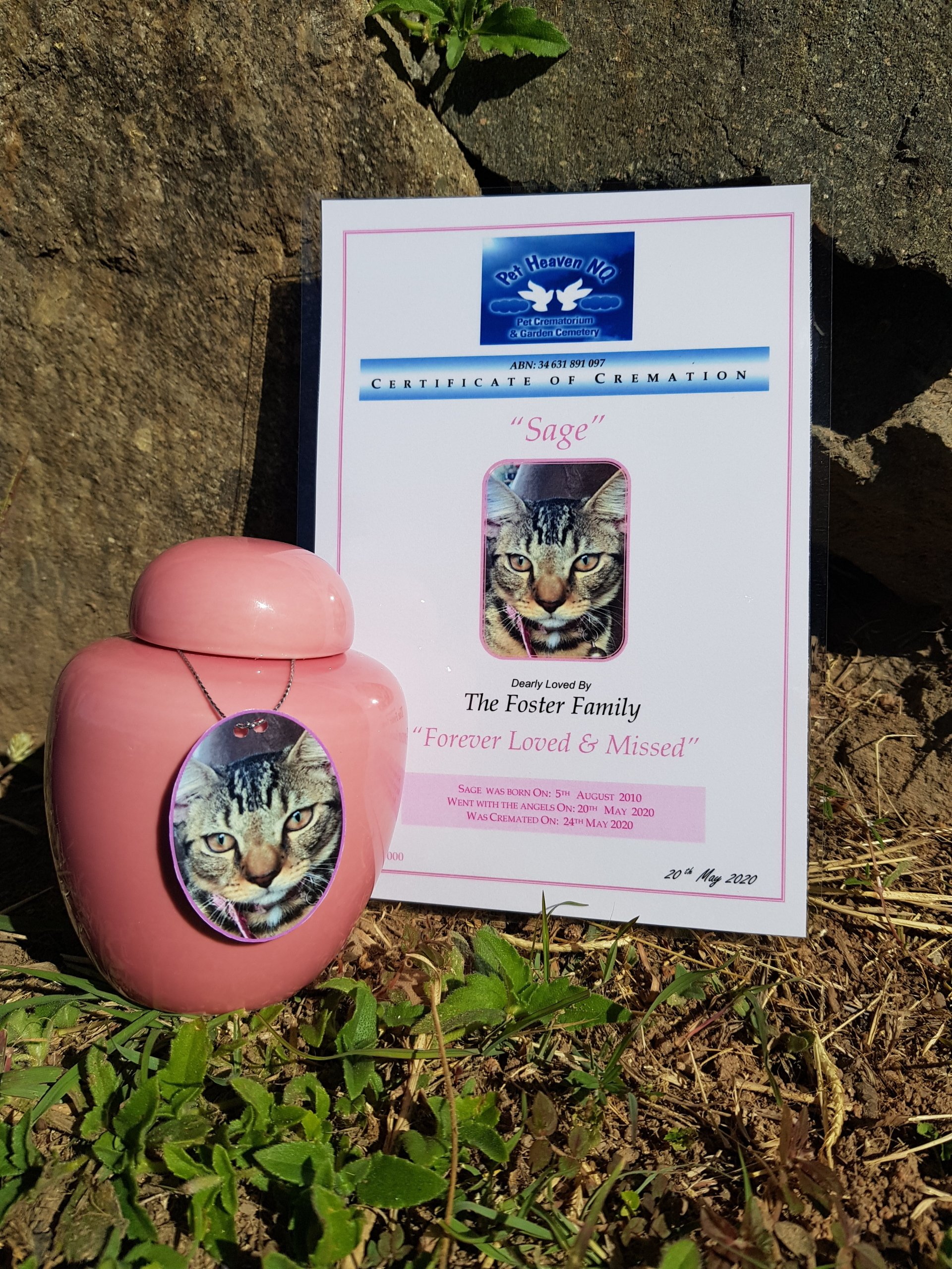 Pet cremation townsville pet heaven nq