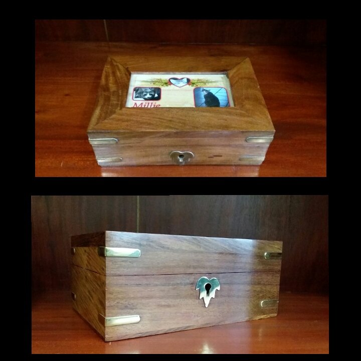 Ashes Boxes Townsville Pet Heaven NQ