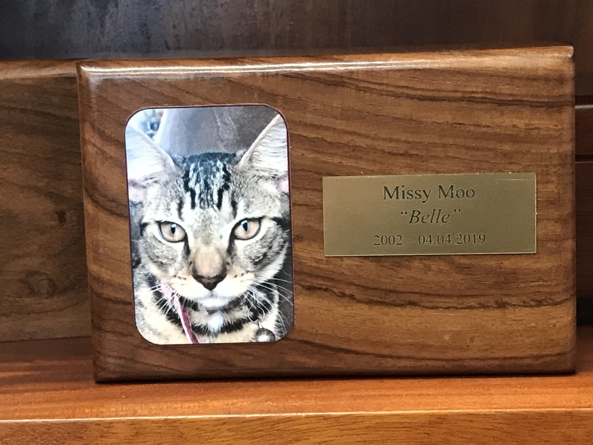 Ashes Boxes Townsville Pet Heaven NQ