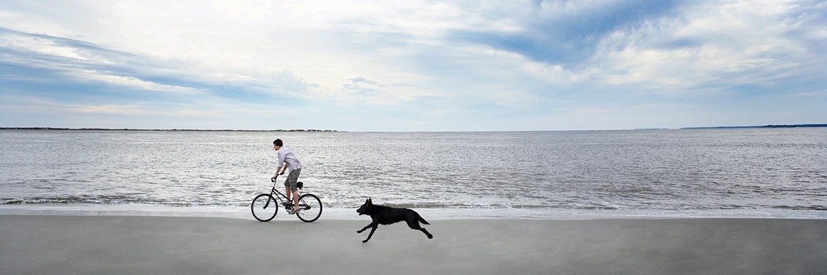 man on beach with dog