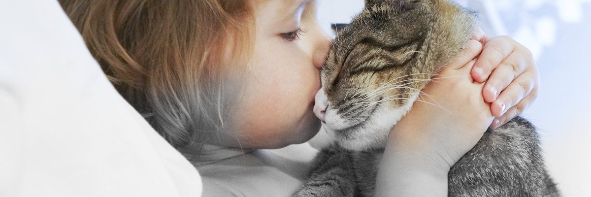 little girl kissing cat