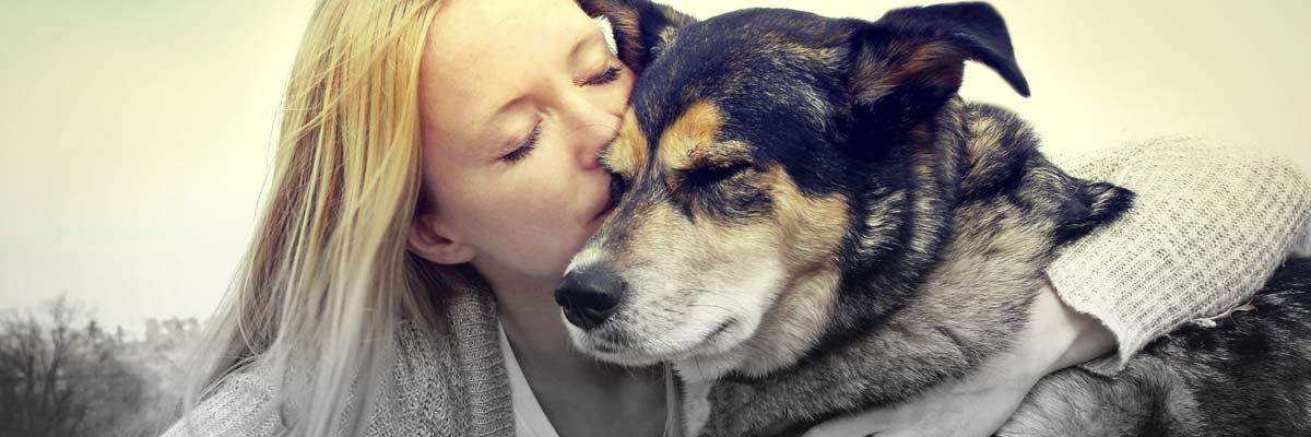 Pet heaven hero ashes boxes