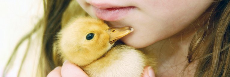 young girl holding chick