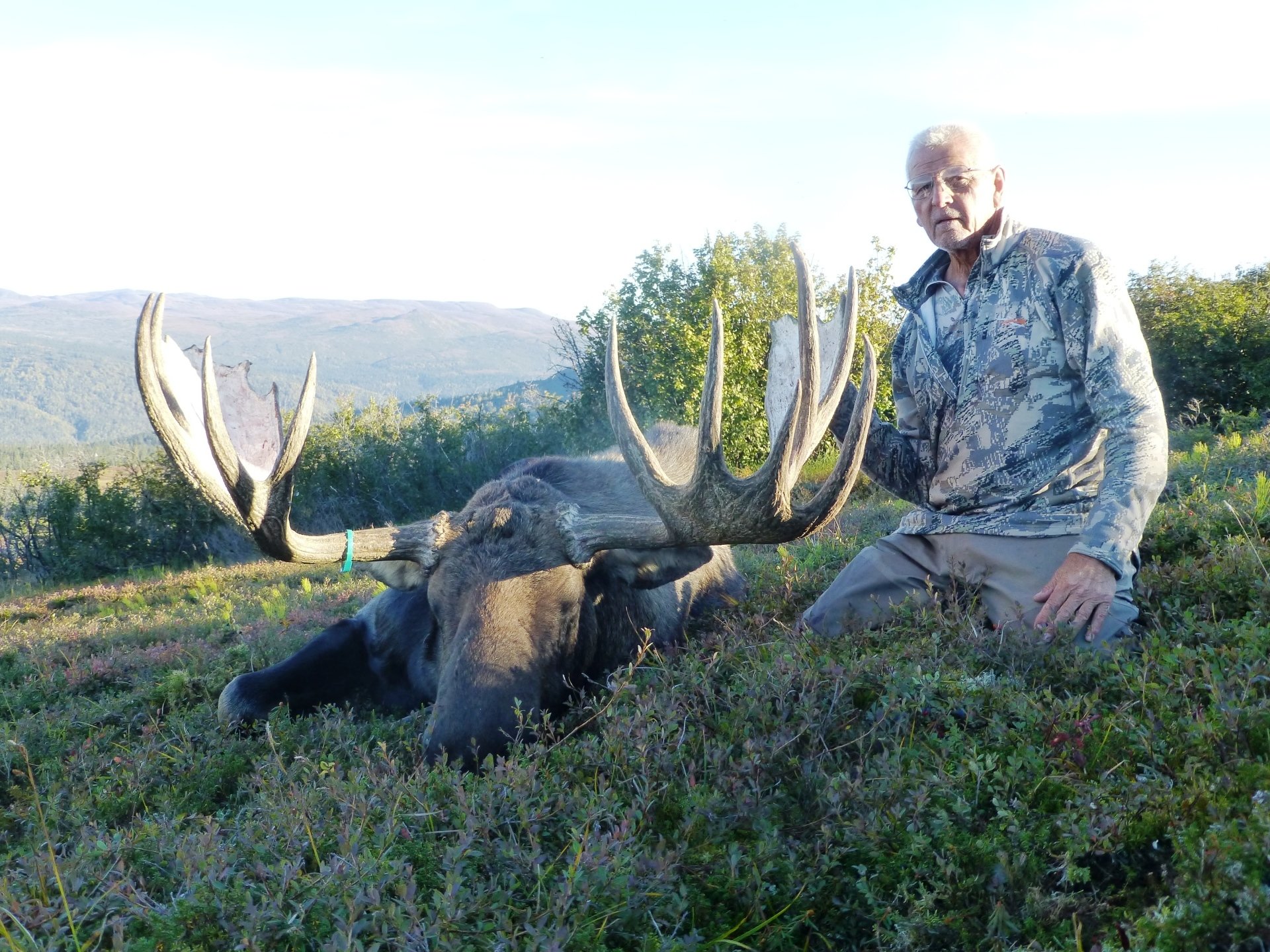 Alaska Moose hunting, Outfitter, Alaska Moose Hunting Guide