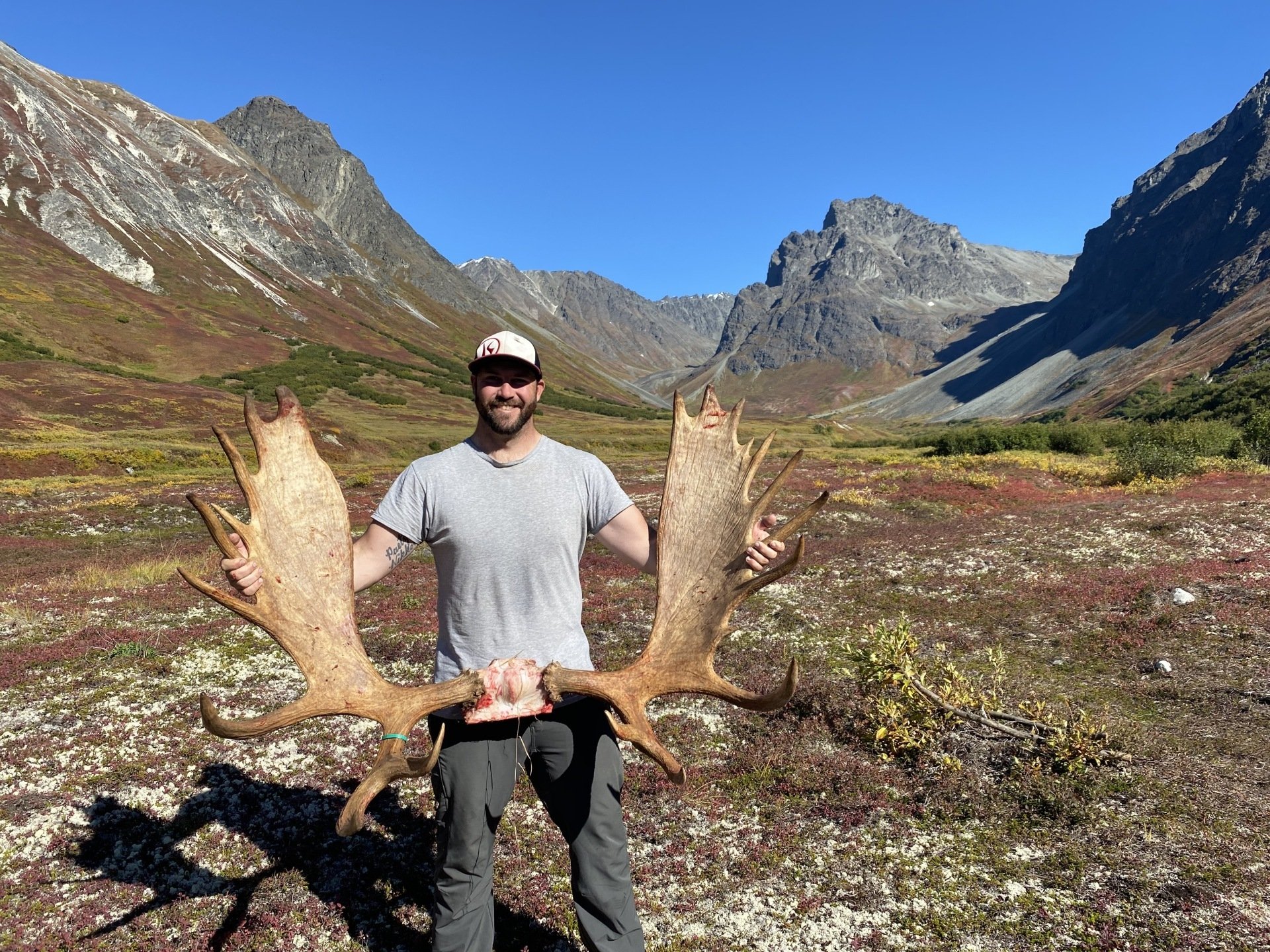 Alaska Moose hunting, Outfitter, Alaska Moose Hunting Guide