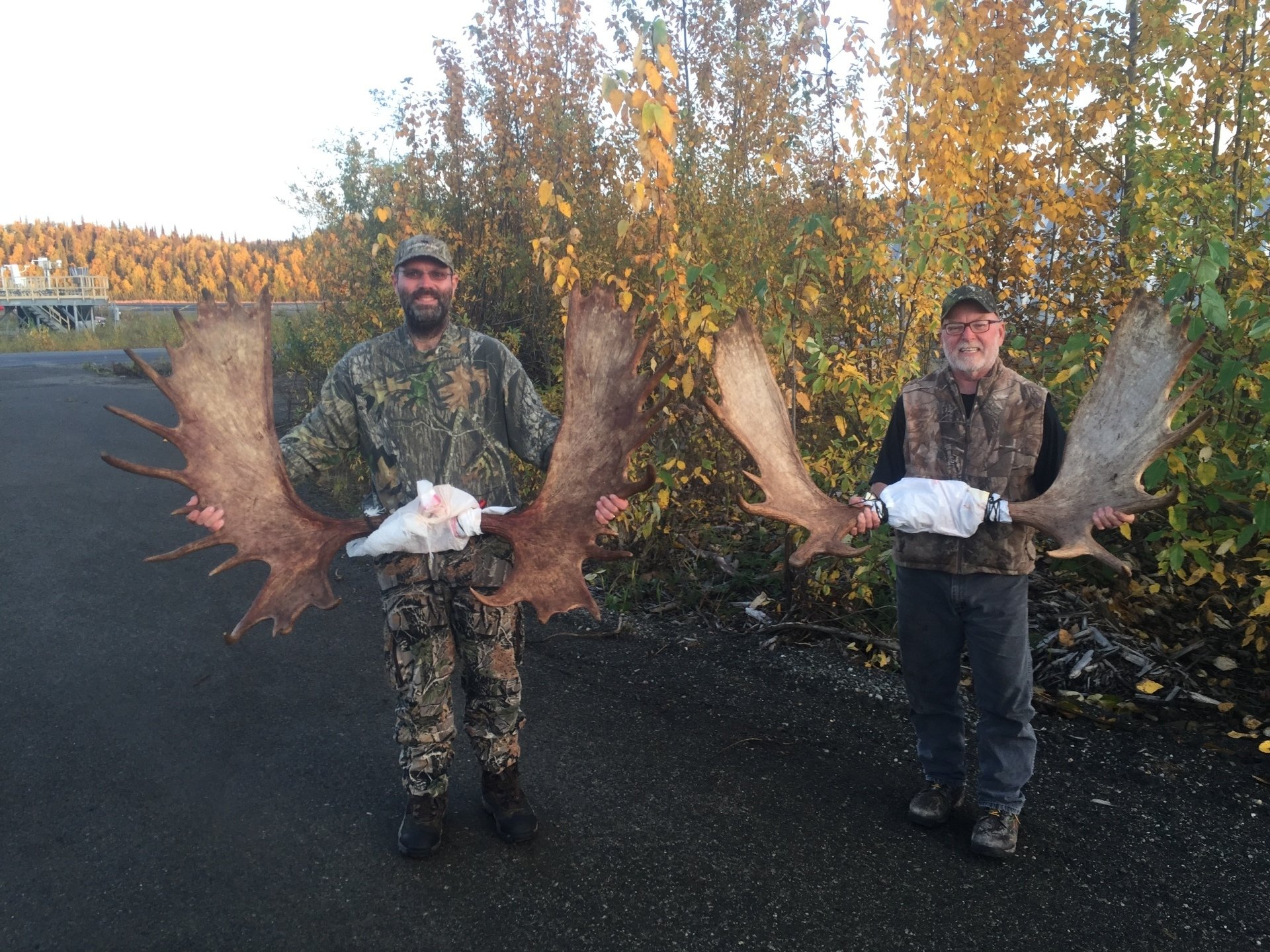 Alaska Moose hunting, Outfitter, Alaska Moose Hunting Guide