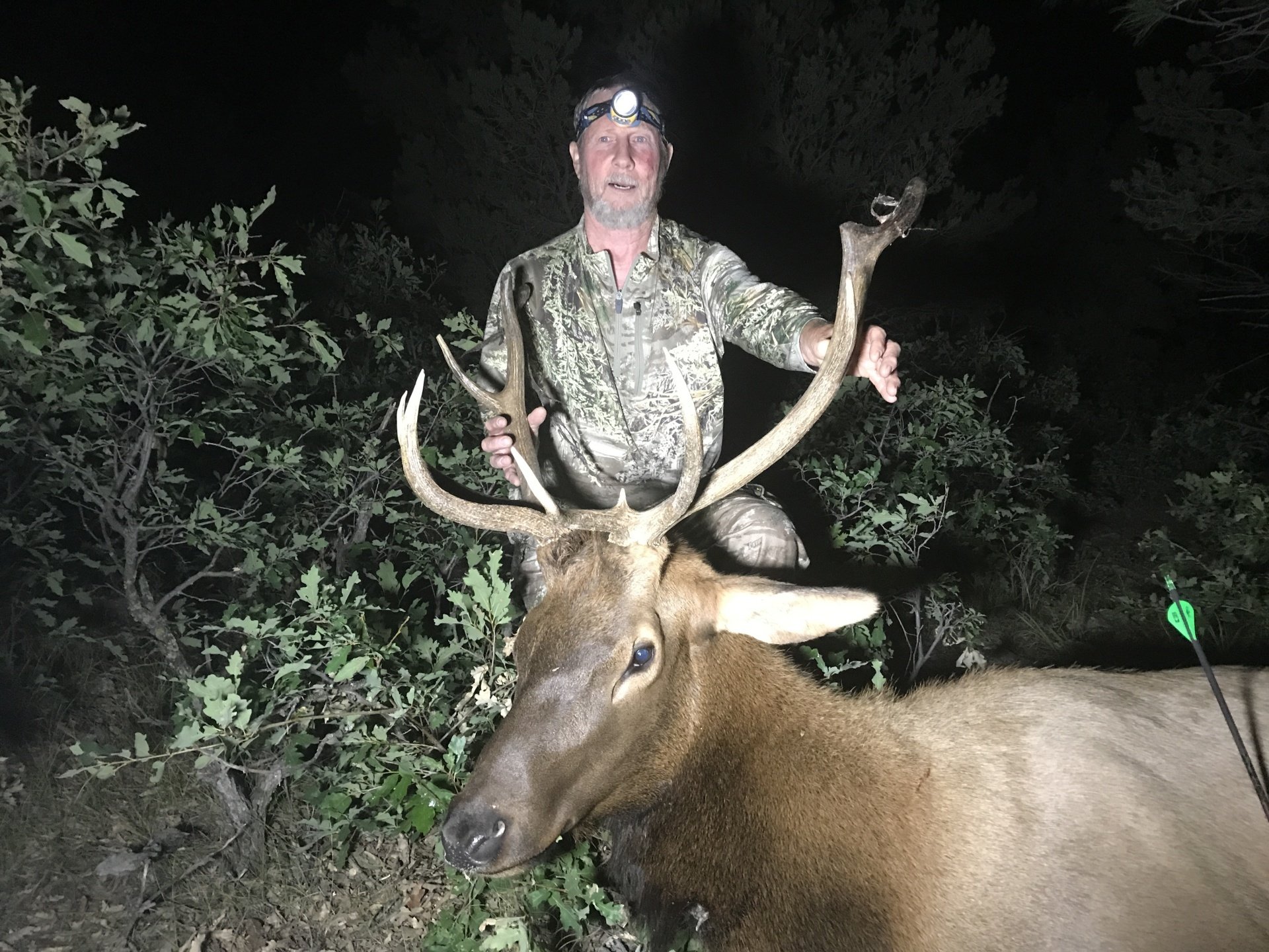 Fulldraw Outfitters Colorado Big Game Hunts