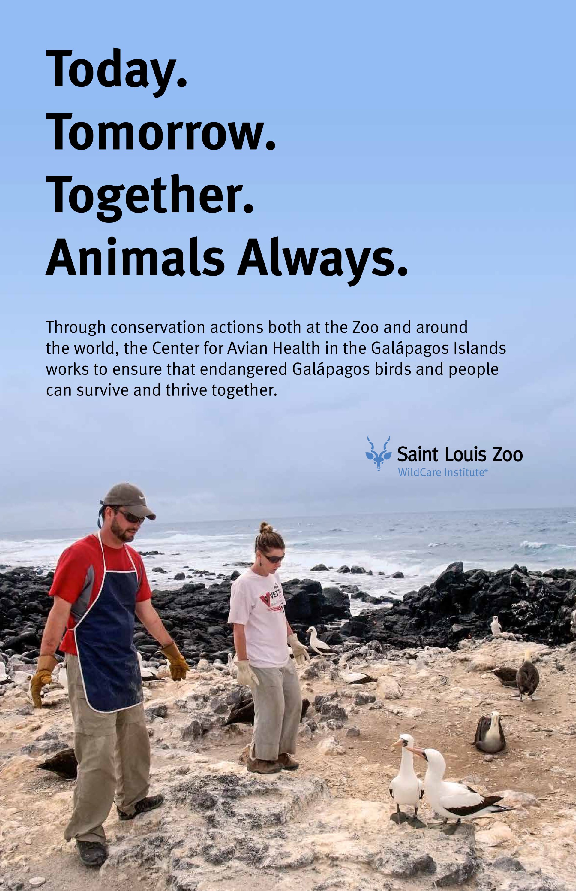 Animal Care Saint Louis Zoo Advertising Campaign
